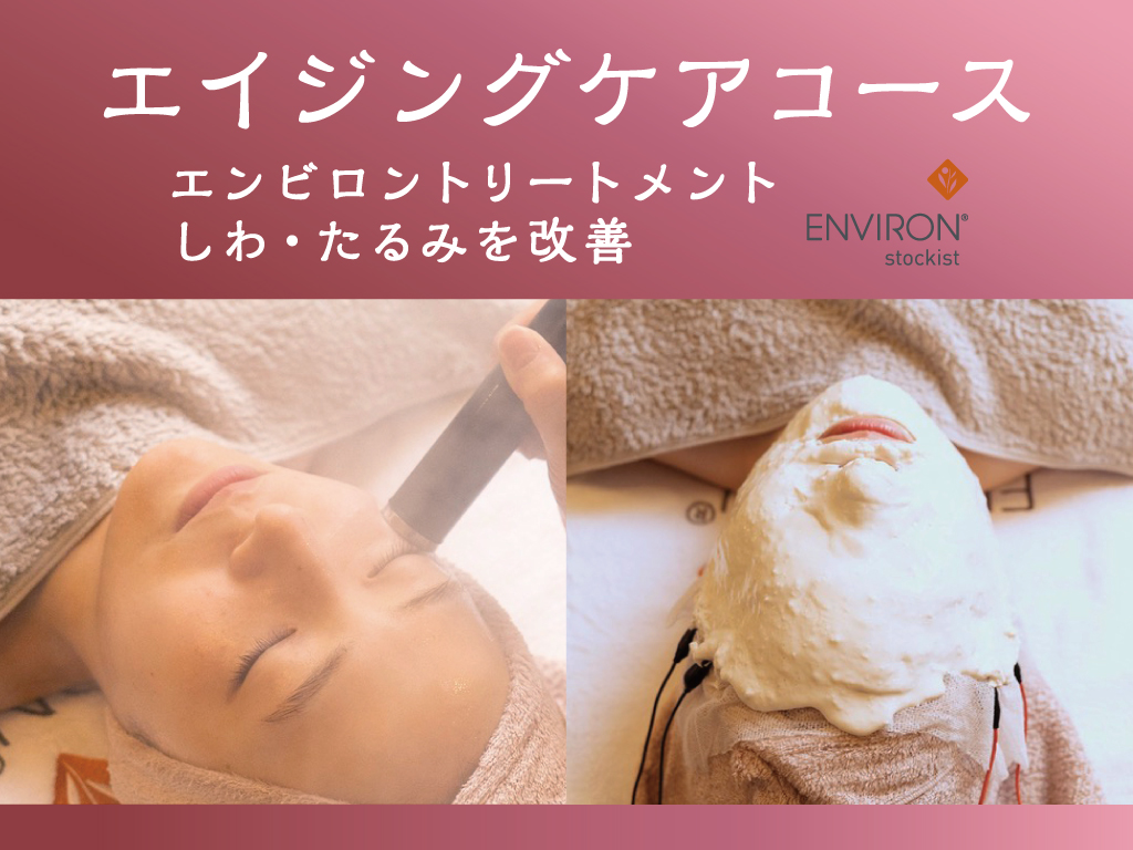 料金表